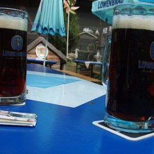 Meet your Posher, Dora